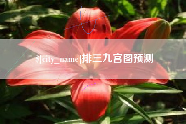 商洛排三九宫图预测