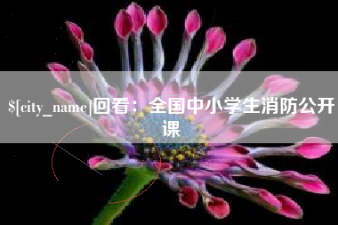 商洛回看：全国中小学生消防公开课