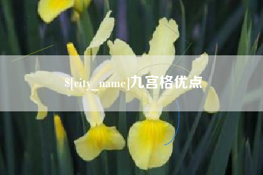 商洛九宫格优点