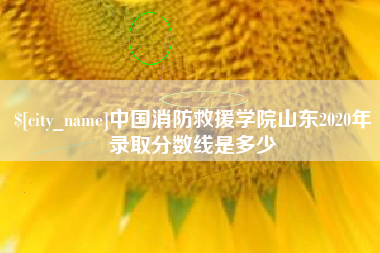 商洛中国消防救援学院山东2020年录取分数线是多少