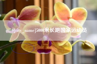 商洛5000米长跑国家运动员