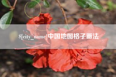 商洛中国地图格子画法