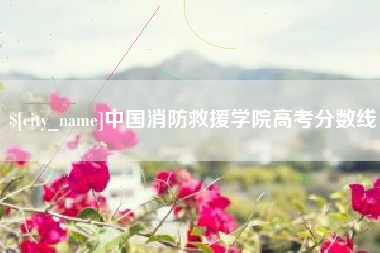 商洛中国消防救援学院高考分数线