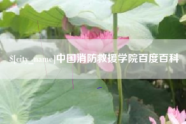 商洛中国消防救援学院百度百科