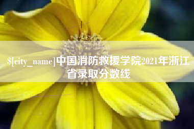 商洛中国消防救援学院2021年浙江省录取分数线