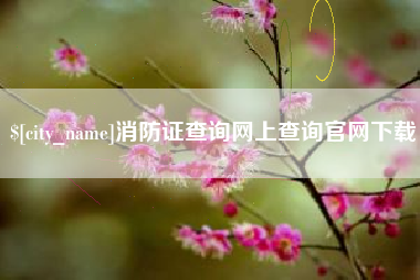 商洛消防证查询网上查询官网下载