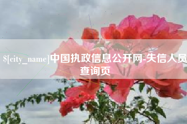 商洛中国执政信息公开网-失信人员查询页
