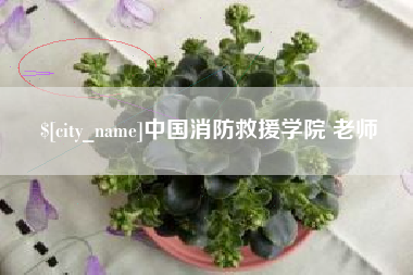 商洛中国消防救援学院 老师