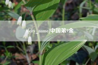商洛中国第9金