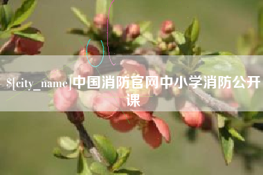 商洛中国消防官网中小学消防公开课