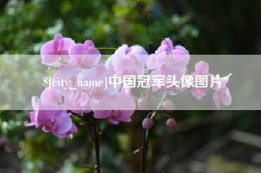 商洛中国冠军头像图片