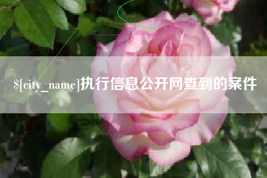 商洛执行信息公开网查到的案件