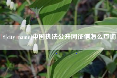 商洛中国执法公开网征信怎么查询