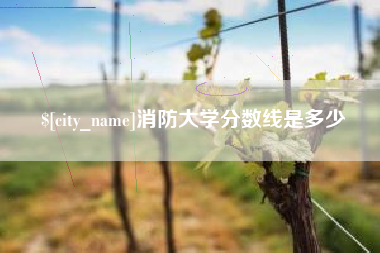 商洛消防大学分数线是多少
