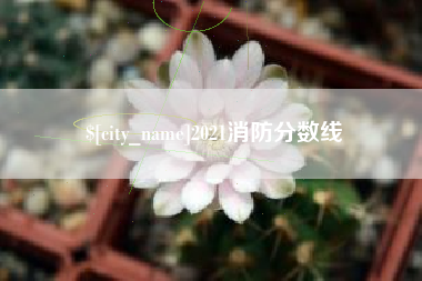 商洛2021消防分数线