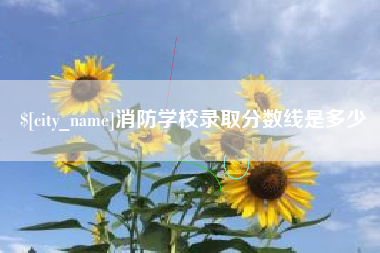 商洛消防学校录取分数线是多少