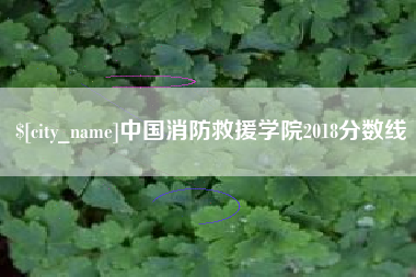商洛中国消防救援学院2018分数线