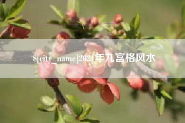 商洛2021年九宫格风水
