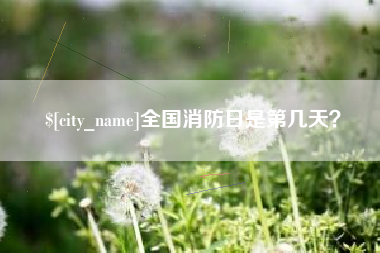 商洛全国消防日是第几天？