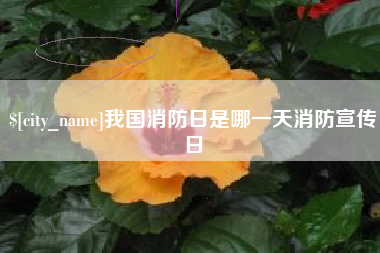 商洛我国消防日是哪一天消防宣传日
