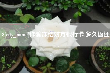 商洛诈骗冻结对方银行卡,多久返还
