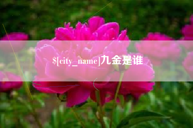 商洛九金是谁