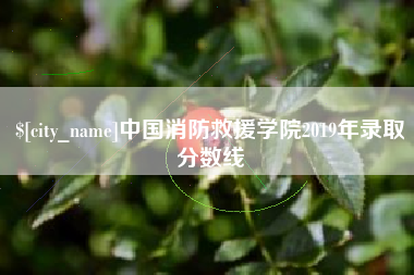 商洛中国消防救援学院2019年录取分数线