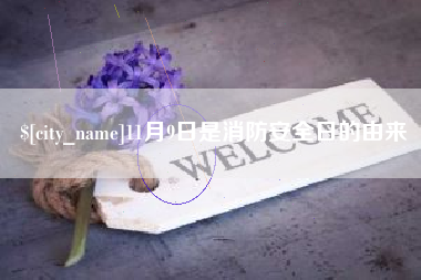 商洛11月9日是消防安全日的由来
