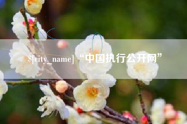 商洛“中国执行公开网”