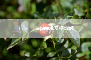 商洛5000米及格成绩