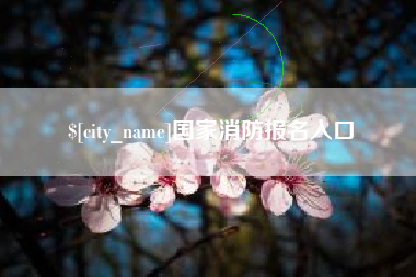 商洛国家消防报名入口
