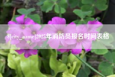 商洛2025年消防员报名时间表格