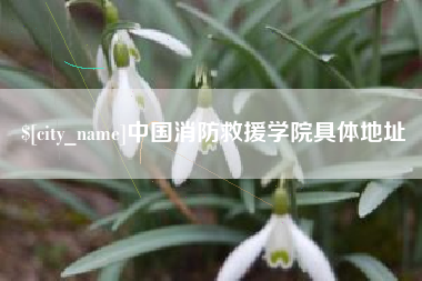 商洛中国消防救援学院具体地址