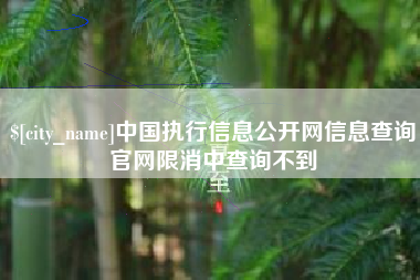 商洛中国执行信息公开网信息查询官网限消中查询不到