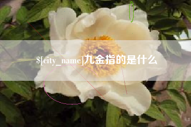商洛九金指的是什么