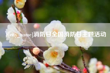 商洛消防日全国消防日主题活动