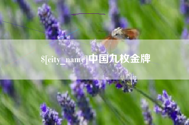 商洛中国九枚金牌