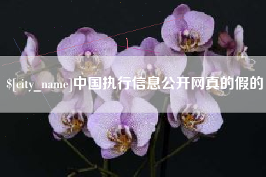 商洛中国执行信息公开网真的假的