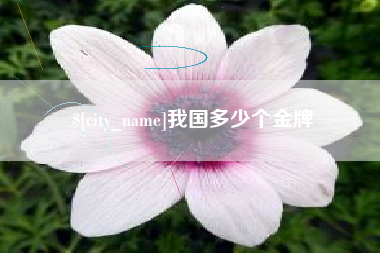 商洛我国多少个金牌