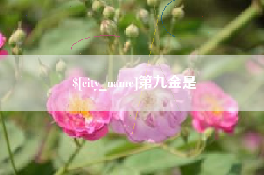 商洛第九金是