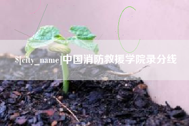 商洛中国消防救援学院录分线