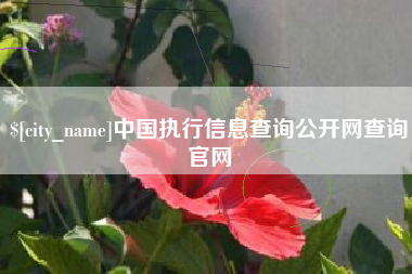 商洛中国执行信息查询公开网查询官网