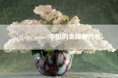 商洛中国的金牌有几名