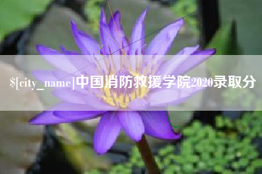 商洛中国消防救援学院2020录取分