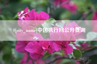 商洛中国执行网公开查询
