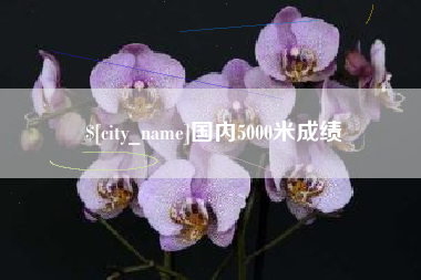 商洛国内5000米成绩