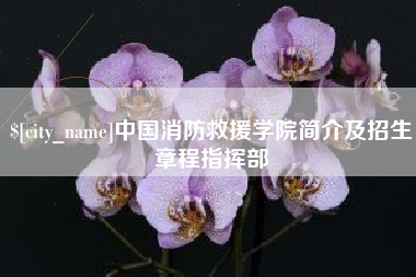 商洛中国消防救援学院简介及招生章程指挥部