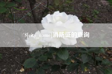 商洛消防证的查询