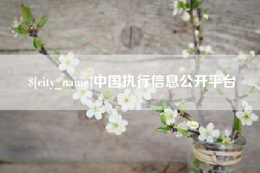 商洛中国执行信息公开平台
