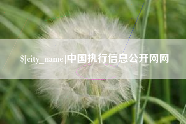 商洛中国执行信息公开网网